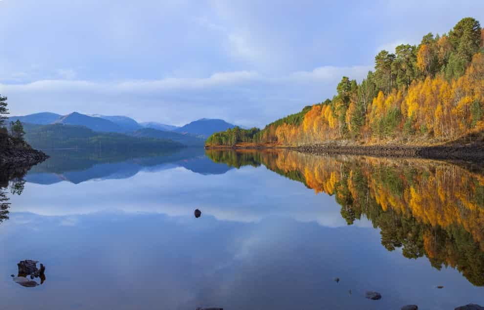 The project would cover Glen Affric (Grant Willoughby/Trees for Life/PA)