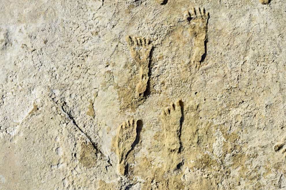 Fossilised human footprints were found at the White Sands National Park in New Mexico (NPS/AP)