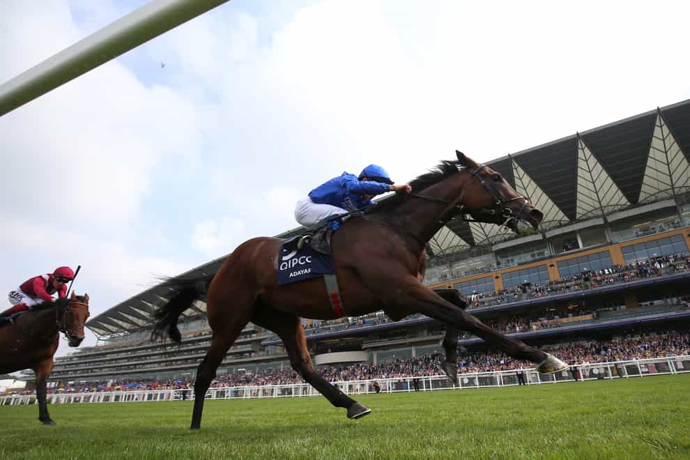Adayar in action in the King George (Nigel French/PA)