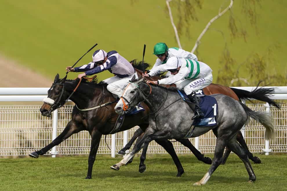 Alpinista (nearest) is a dual Group One winner after her latest success in Cologne (Alan Crowhurst/PA)