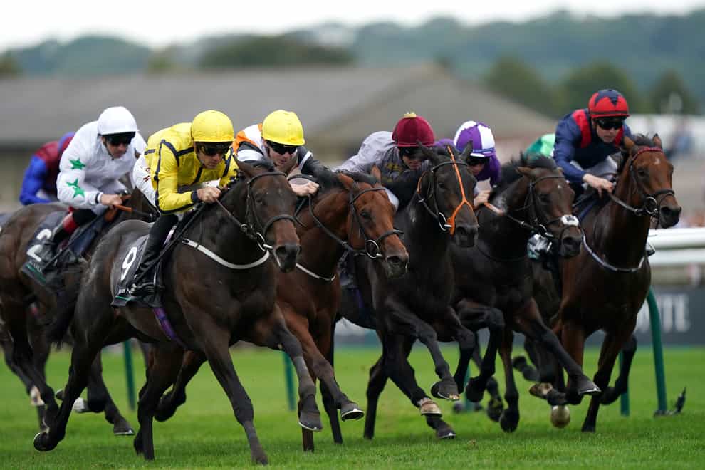 Castle Star (second left) finishing a close second in the Middle Park Stakes (Tim Goode/PA)