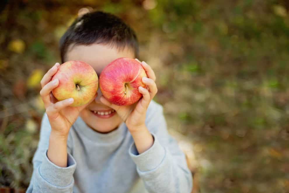 A child holding apples in autumn (Alamy/PA)