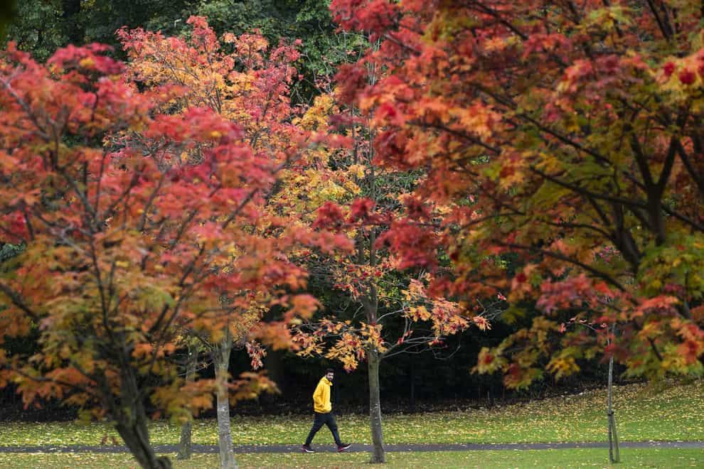 Autumn colour (Jane Barlow/PA)