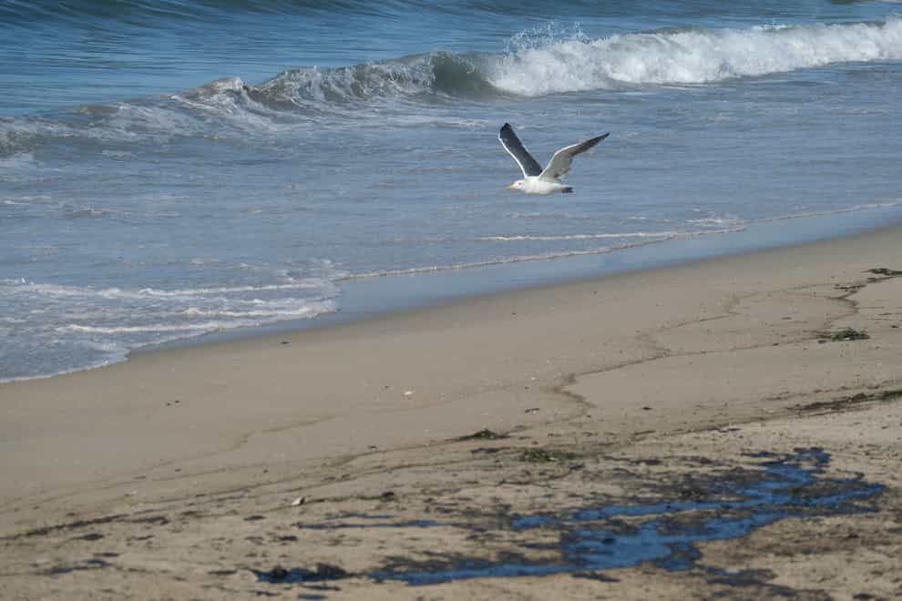 The spill has hit popular beaches in southern California and threatens wildlife reserves (AP Photo/Ringo H.W. Chiu)