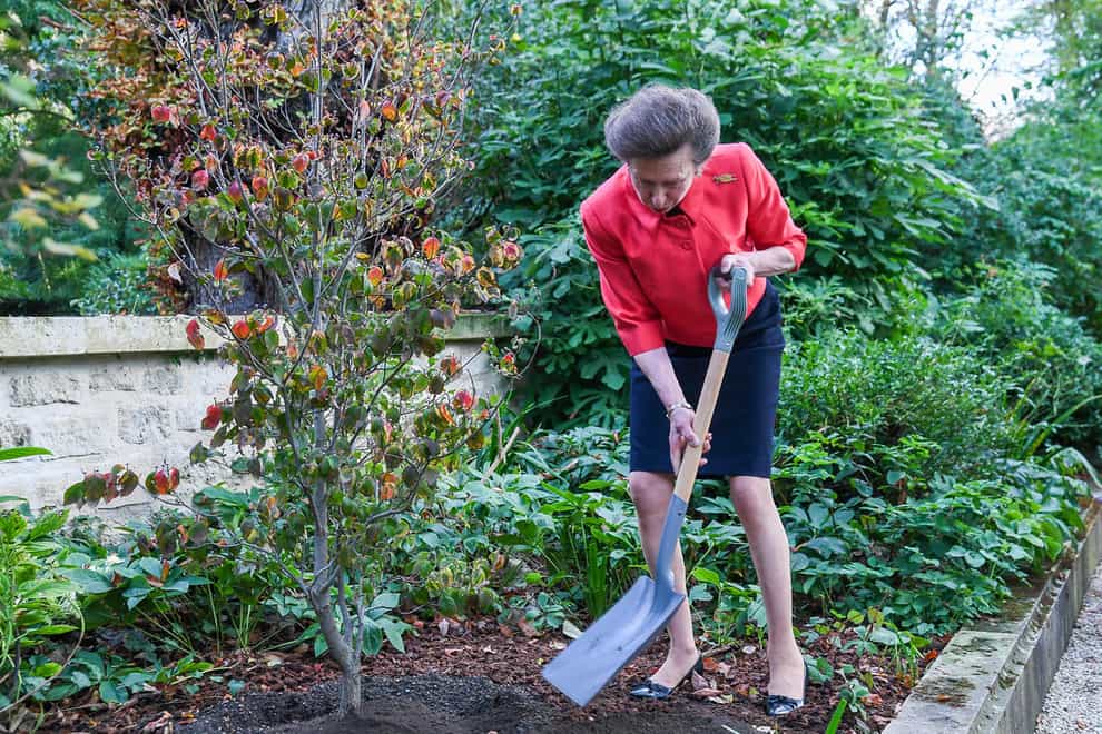 The Princess Royal pictured planting a tree in the garden of the British Ambassador’s official residence during her official visit to France (Nicola Gleichauf/Frank Barylko)