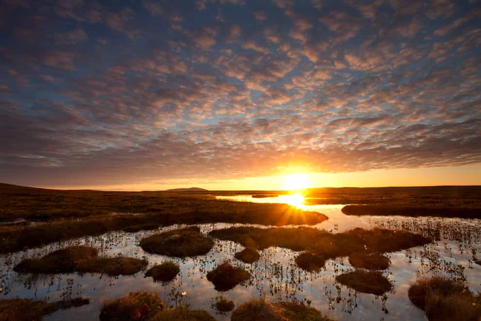 Pools and bog peatland pictured at dawn in Flow Country, Scotland (Mark Hamblin 2020 VISION/PA)