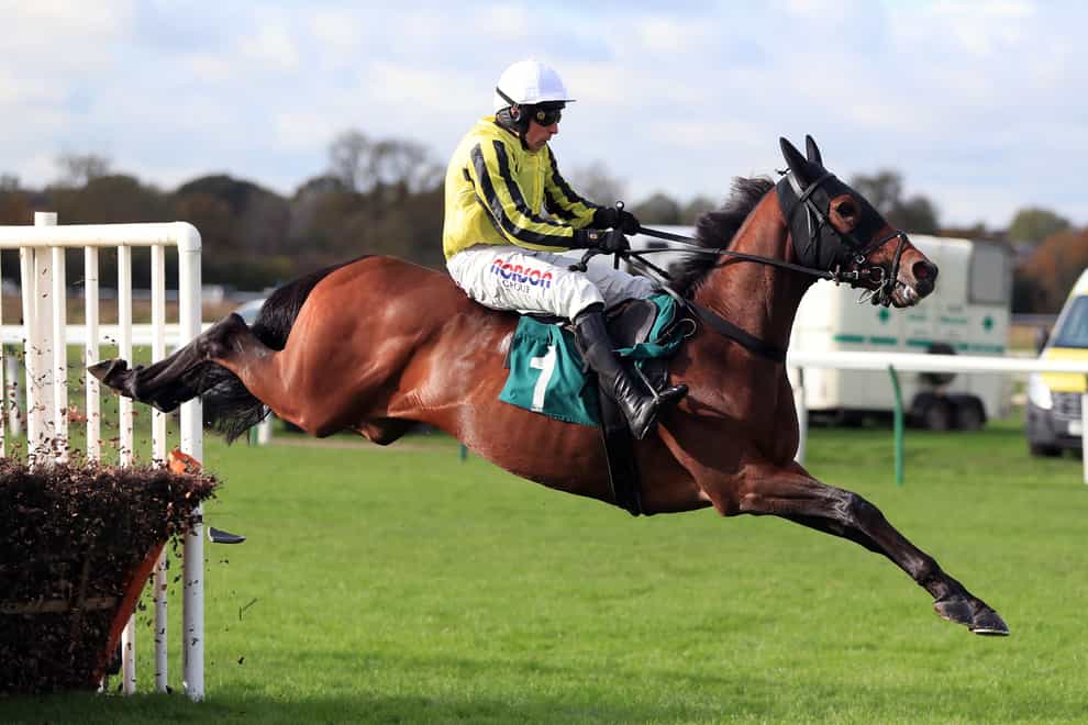 Allmankind and Harry Skelton winning the Try Racing TV For Free Now Juvenile Hurdle at Warwick (Mike Egerton/PA)