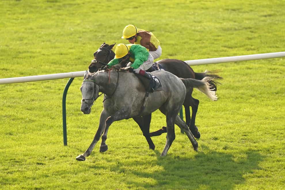 Oisin Murphy rand Buzz (grey) on their way to winning the Cesarewitch at Newmarket (Tim Goode/PA)