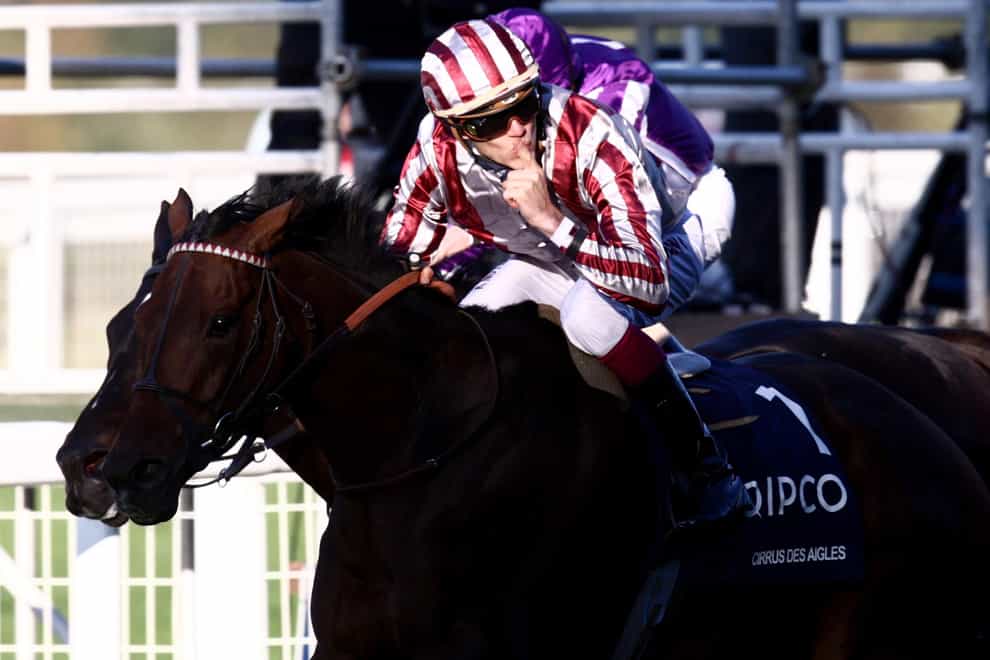 Cirrus Des Aigles ridden by Christophe Soumillon wins the Qipco Champion Stakes during the QIPCO British Champions Day at Ascot Racecourse (Steve Parsons/PA)
