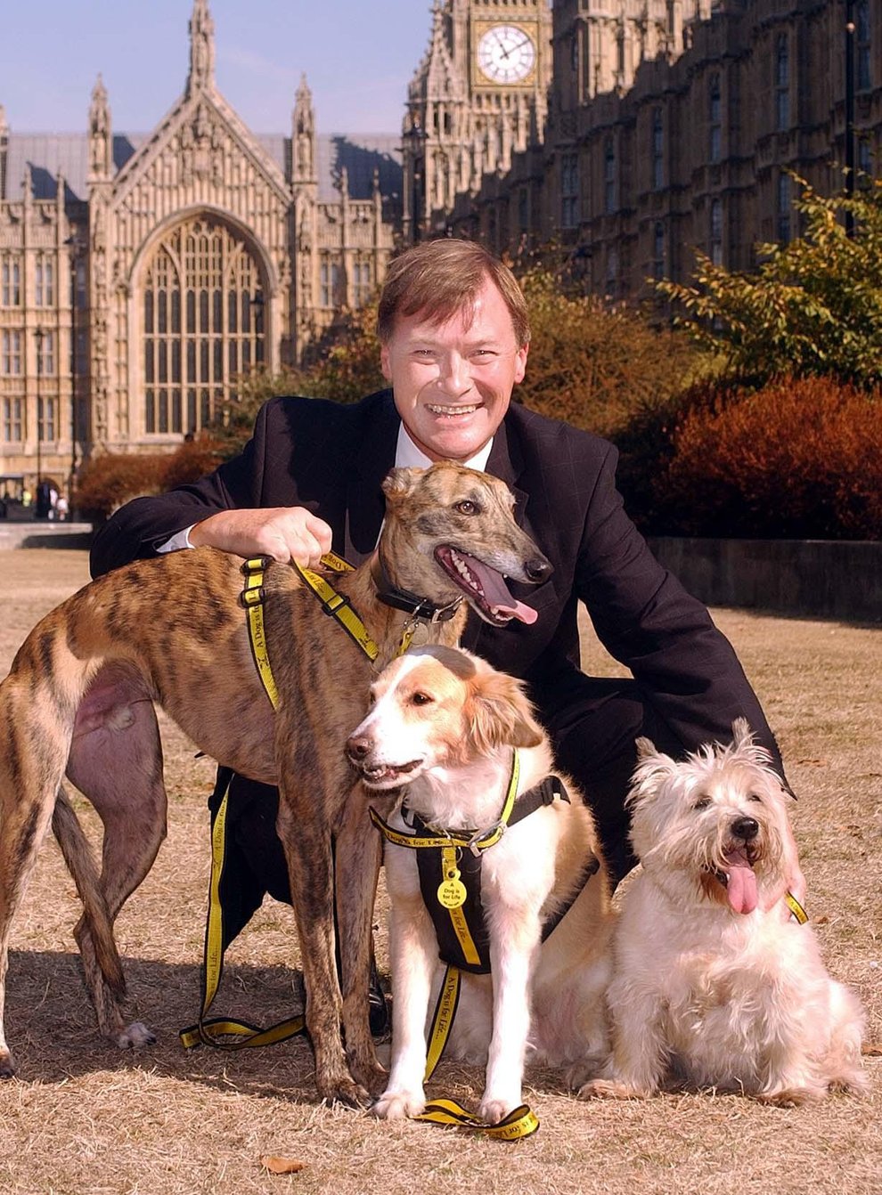 Sir David Amess had a passion for animal welfare (John Stillwell/PA)