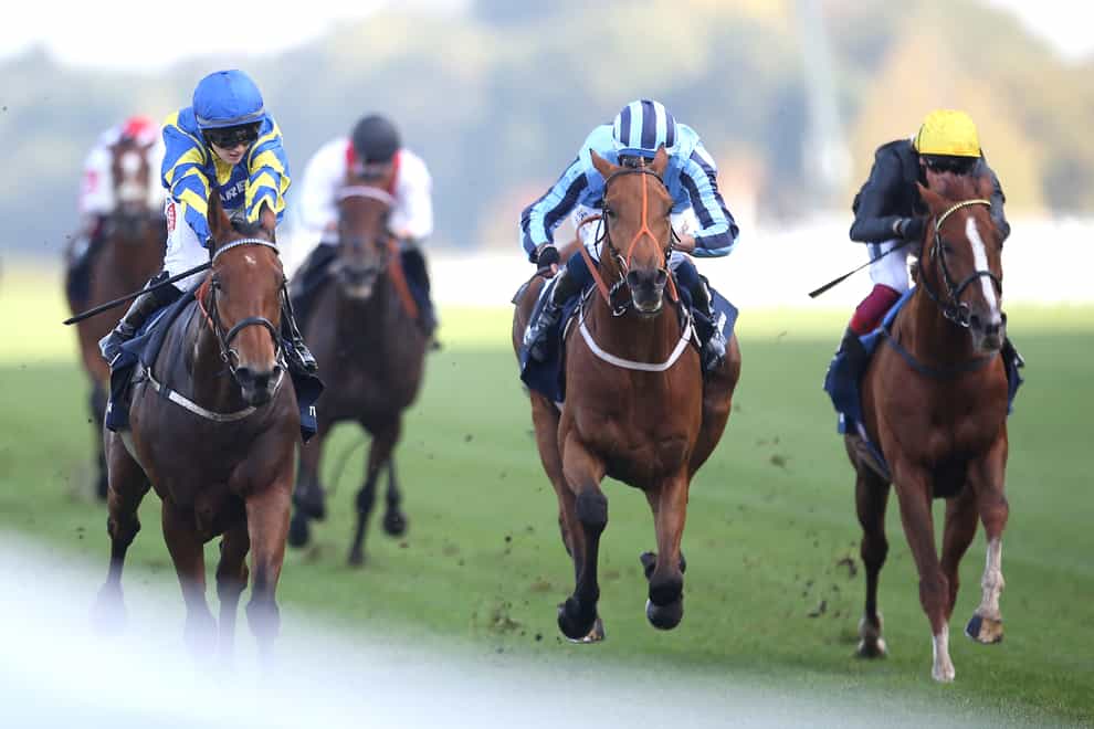 Tashkhan (middle) finishing second in the Qipco British Champions Long Distance Cup during the Qipco British Champions Day at Ascot (Steven Paston/PA)