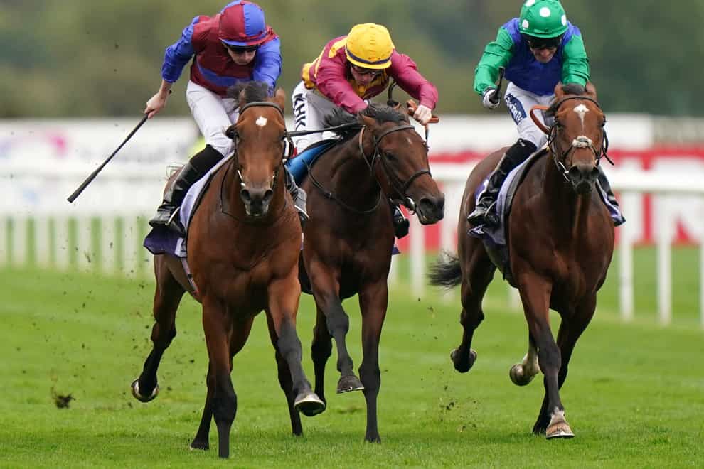 Hannibal Barca (right) finishing third at Doncaster on Saturday (Tim Goode/PA)