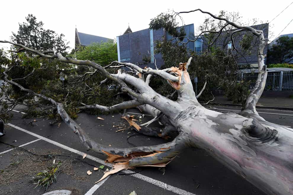 A fallen tree in a street in Melbourne, Australia (AAP/AP)
