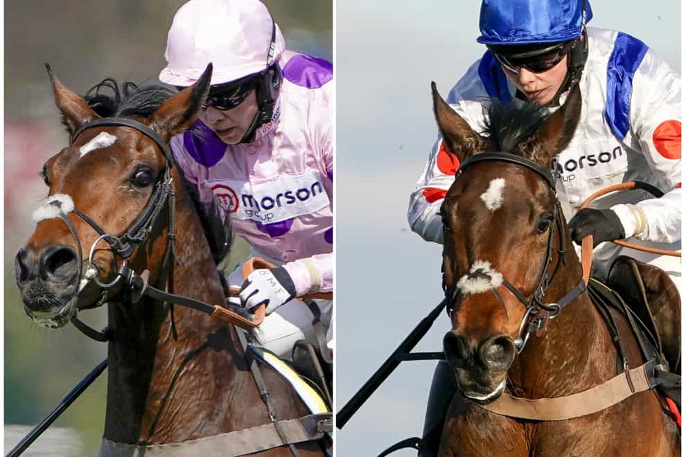 Greaneteen (left) and Hitman give Paul Nicholls a strong hand in the Haldon Gold Cup (PA)