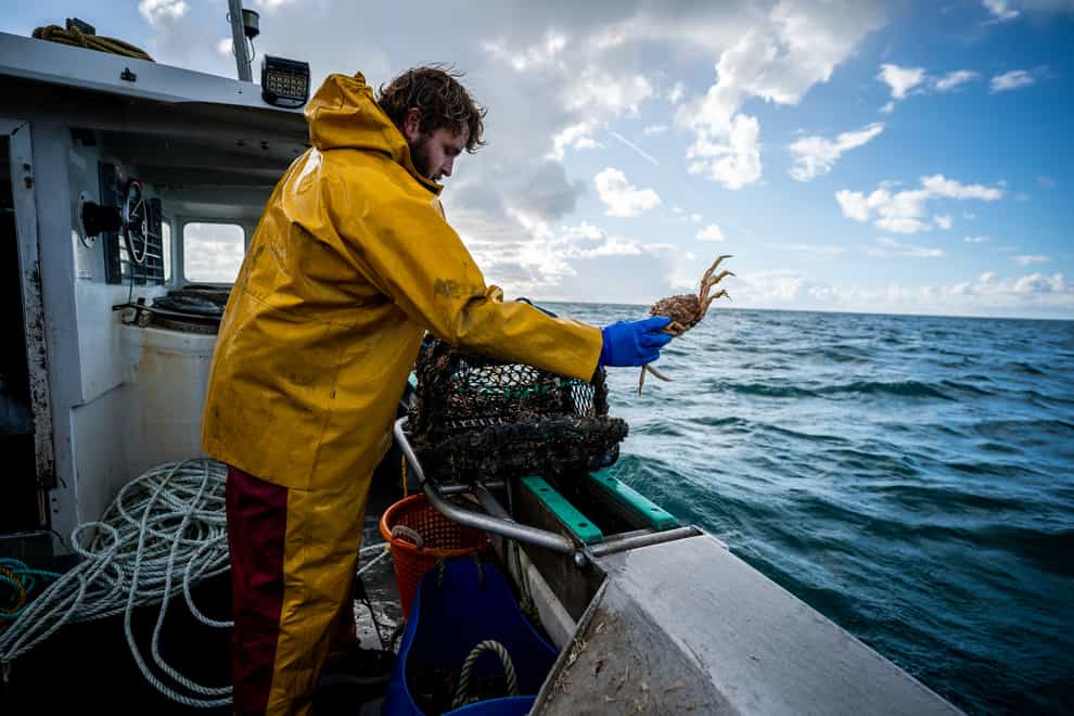 Fisherman Jack Bailey, 25, throws back underweight spider crabs off the coast of Jersey (Ben Birchall/PA)