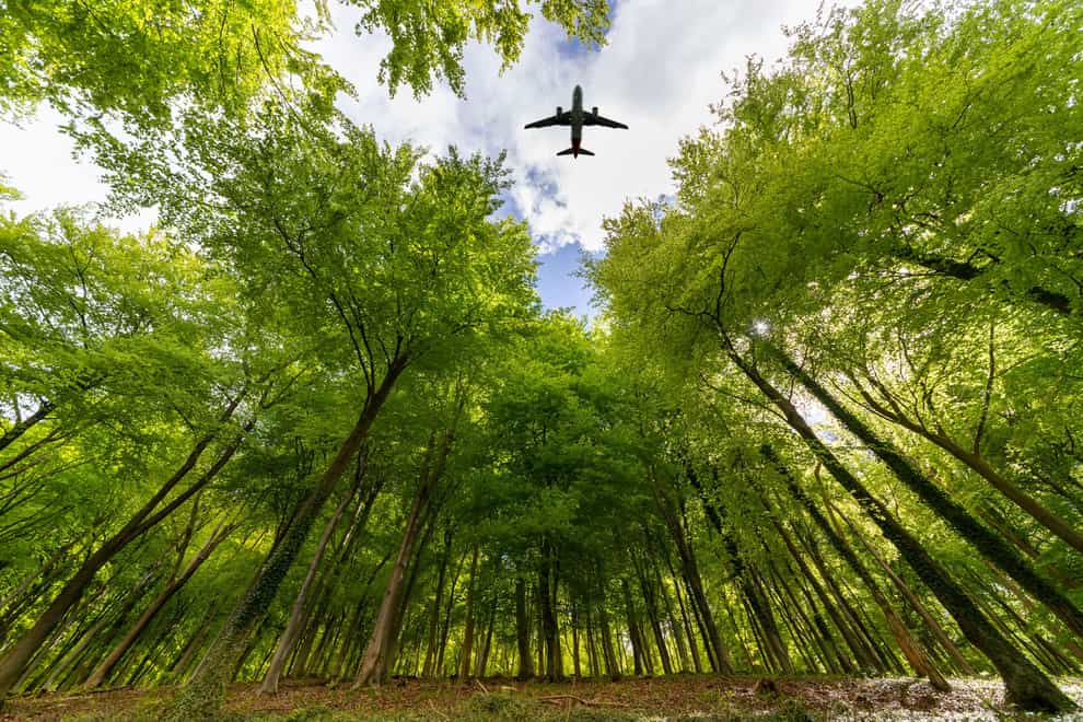 Airplane flying over woodland (Alamy/PA)