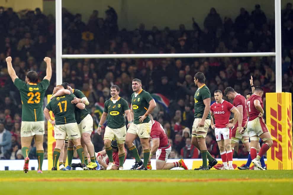 South Africa’s Frans Steyn celebrates at the end of the game (David Davies/PA)