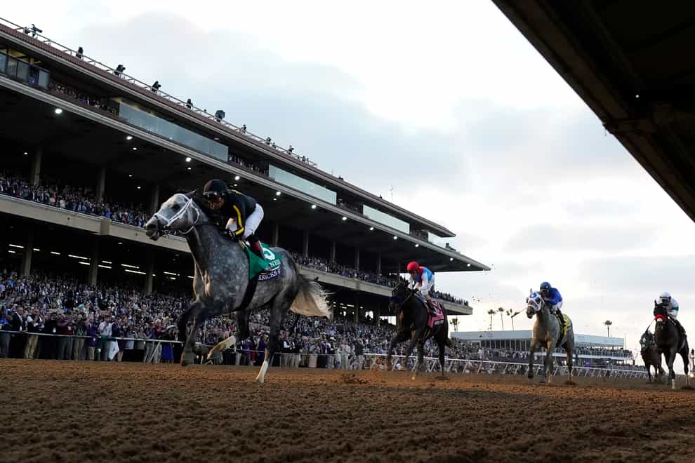 Knicks Go won the Breeders’ Cup Classic (Gregory Bull/AP)