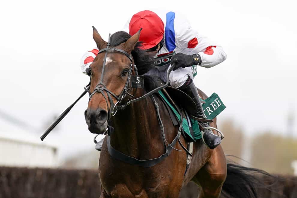 Protektorat is on course for the Paddy Power Gold Cup (Alan Crowhurst/PA)