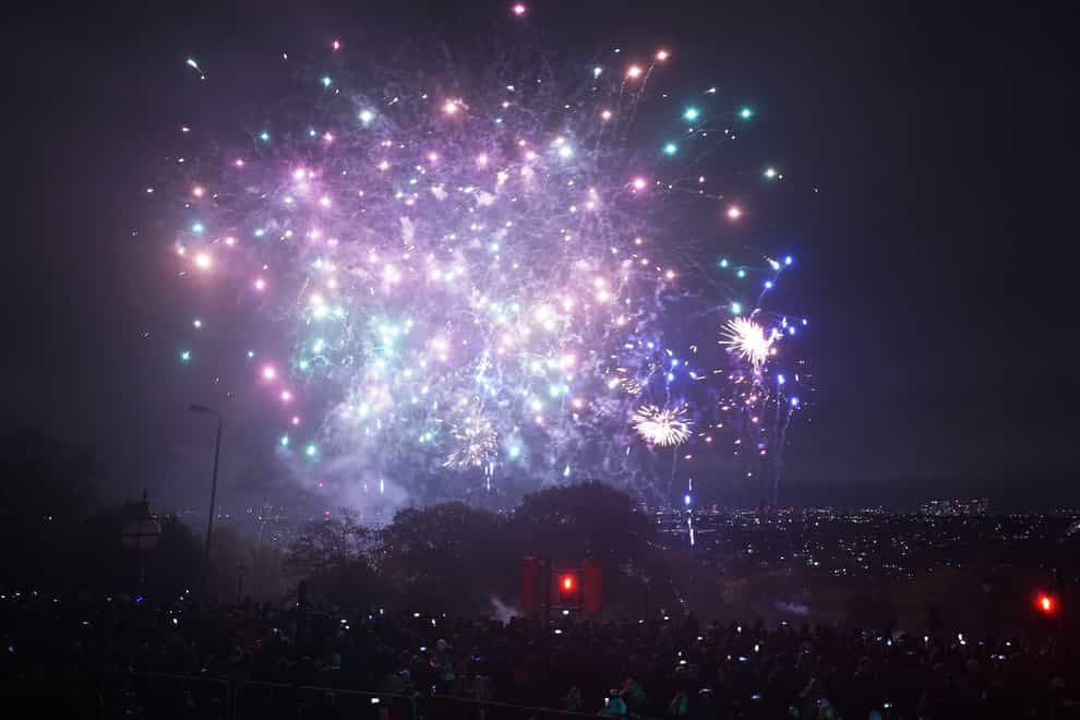 The crowd watching the Alexandra Palace Fireworks in north London (Yui Mok/PA)