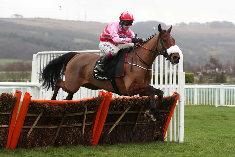 It is the Relkeel Hurdle at Cheltenham next for Brewin’upastorm following his comeback win at Aintree (David Davies/PA)