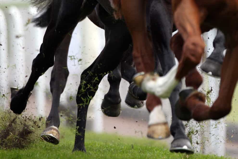 Detail of horses hooves as they race