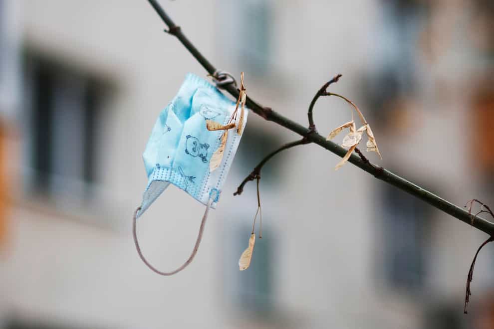 A face mask hangs on a tree in Moscow, Russia (Pavel Golovkin/AP)