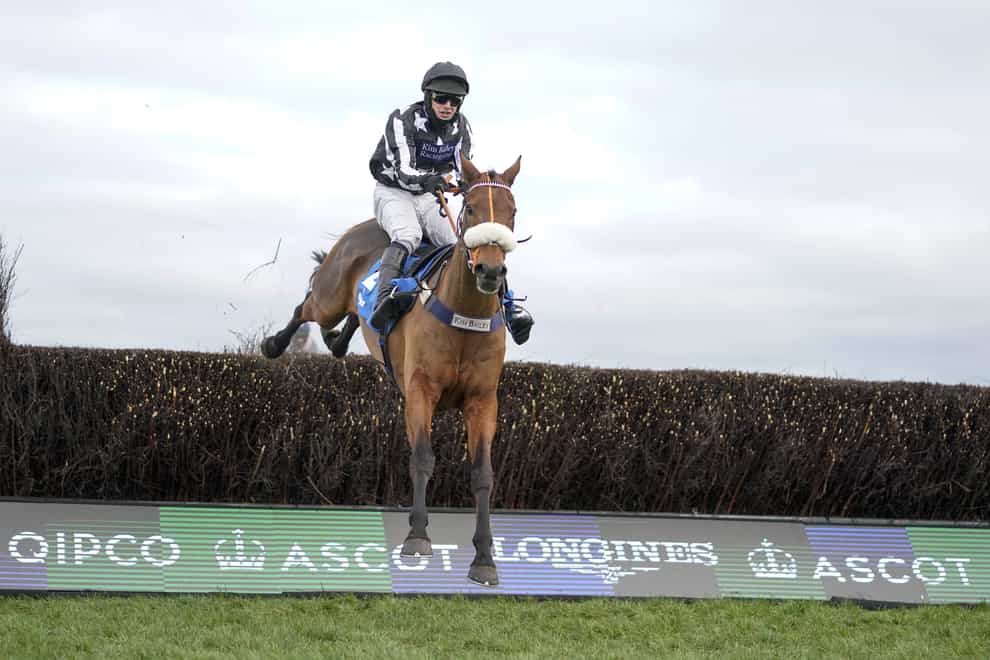 Imperial Aura is heading for the Betfair Chase (Alan Crowhurst/PA)