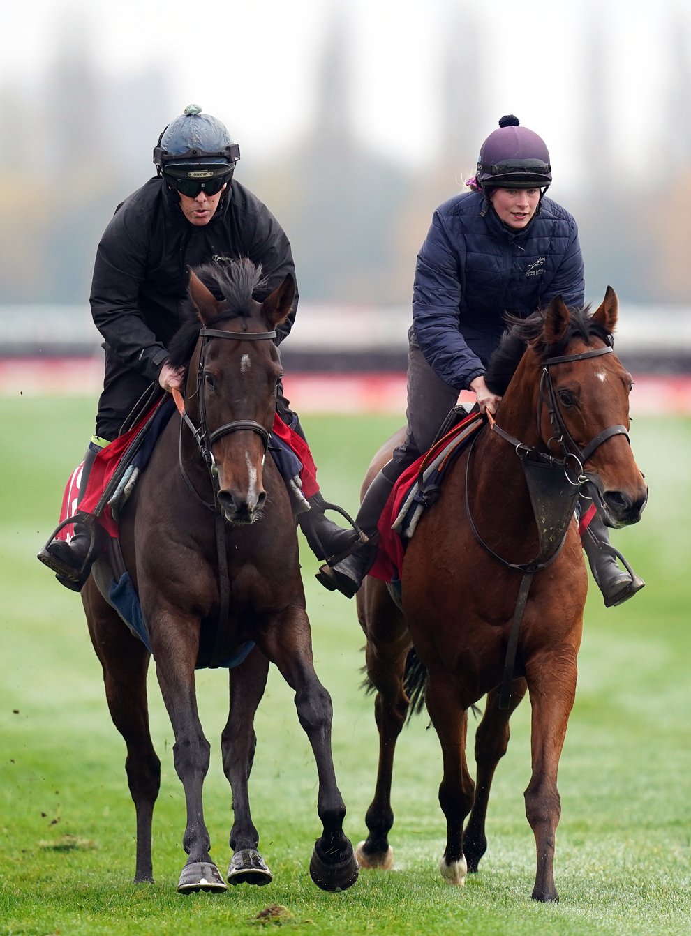 Paisley Park (left) working with stablemate Flemcara during Ladbrokes Winter Carnival gallops morning at Newbury (Adam Davy/PA)