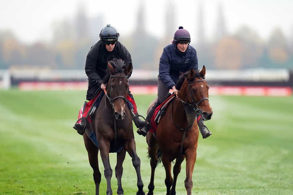 Paisley Park (left) working with stablemate Flemcara during Ladbrokes Winter Carnival gallops morning at Newbury (Adam Davy/PA)