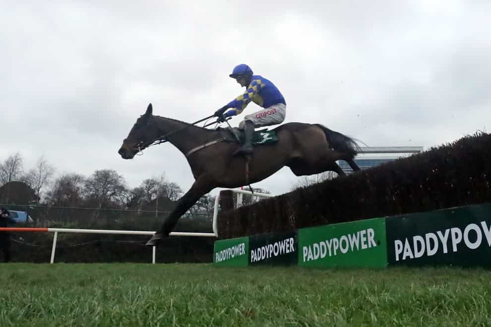 Kemboy won the Irish Gold Cup this year (Niall Carson/PA)