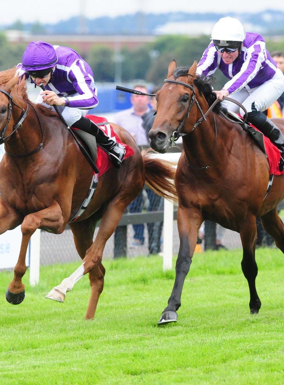 Emperor Of The Sun (left) winning at Galway (PA)