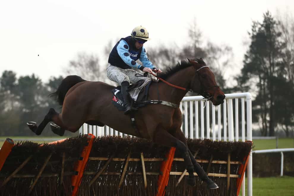 Edwardstone got off the mark over fences in good style at Warwick (Tim Goode/PA)