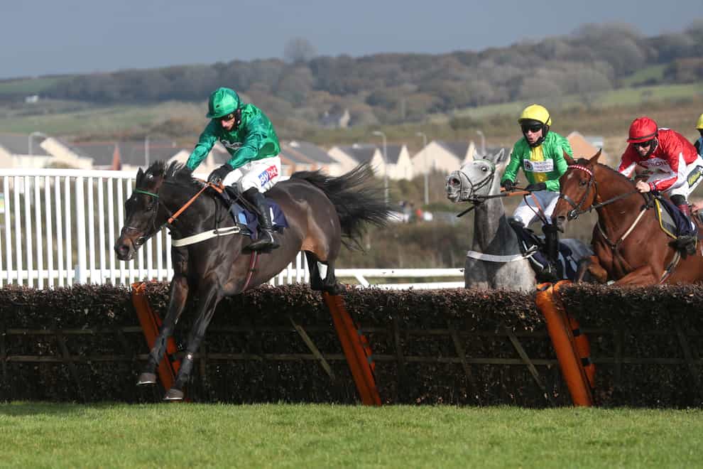 Sceau Royal (left) could go for the Betfair Fighting Fifth Hurdle as long as the ground is not too soft (David Davies/PA)