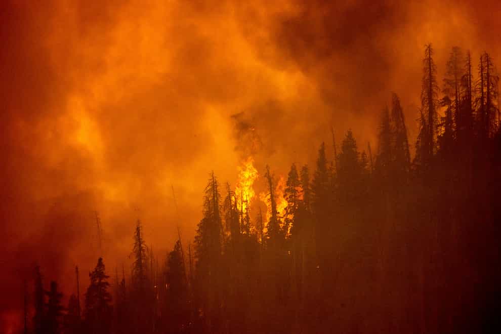 A fire burns along a ridge in Sequoia National Forest (Noah Berger/AP)