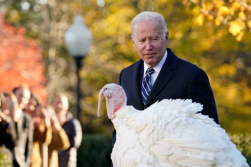 President Joe Biden walks past Peanut Butter, the national Thanksgiving turkey (Susan Walsh/AP)