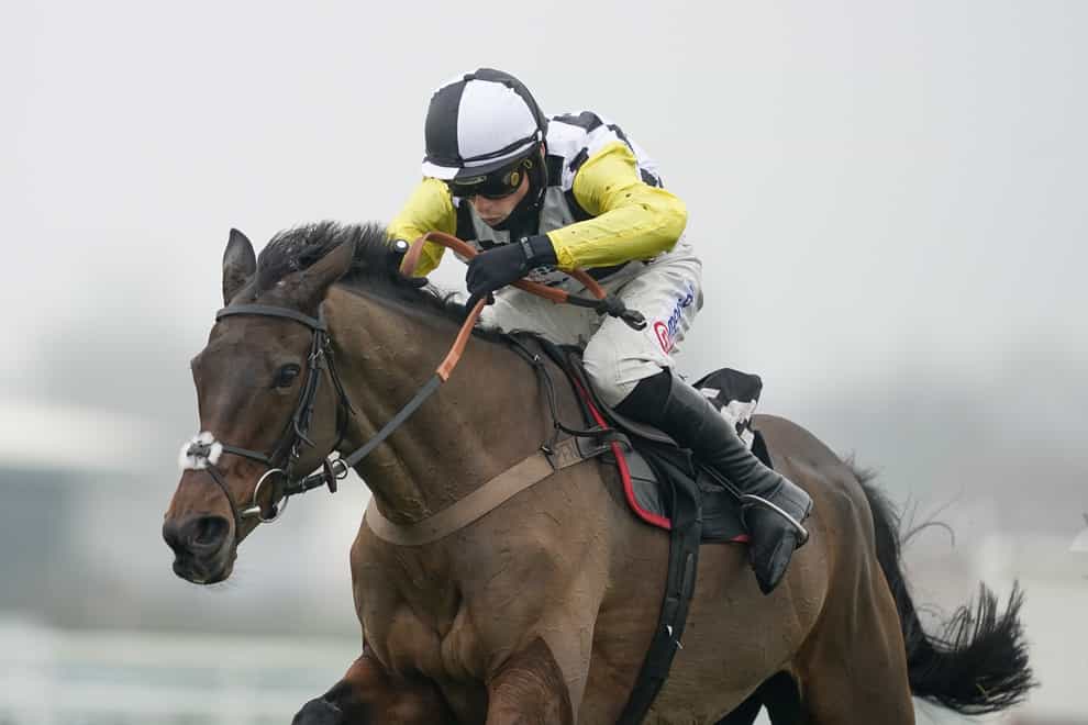 Next Destination will not run in the Betfair Chase (Alan Crowhurst/PA)