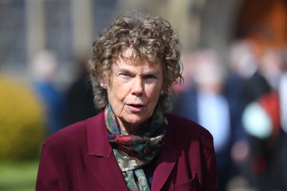 Former Labour MP Baroness Hoey raised the danger to UK security posed by the Channel crossings at Westminster (PA)