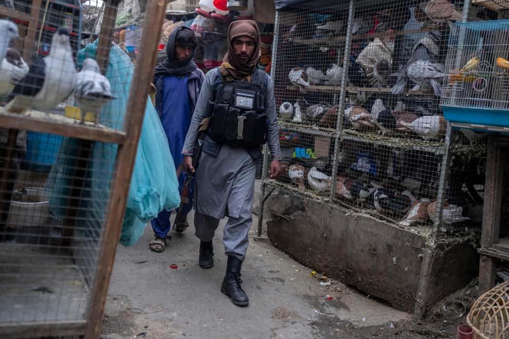 Taliban fighters patrol a bird market in Kabul (Petros Giannakouris/AP)