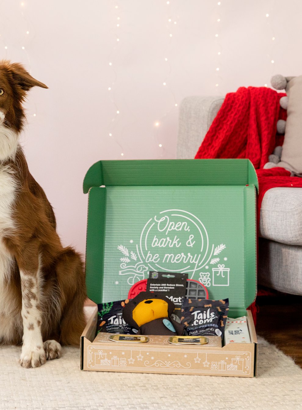 Our prize picks for pets this Christmas (Tails/PA)