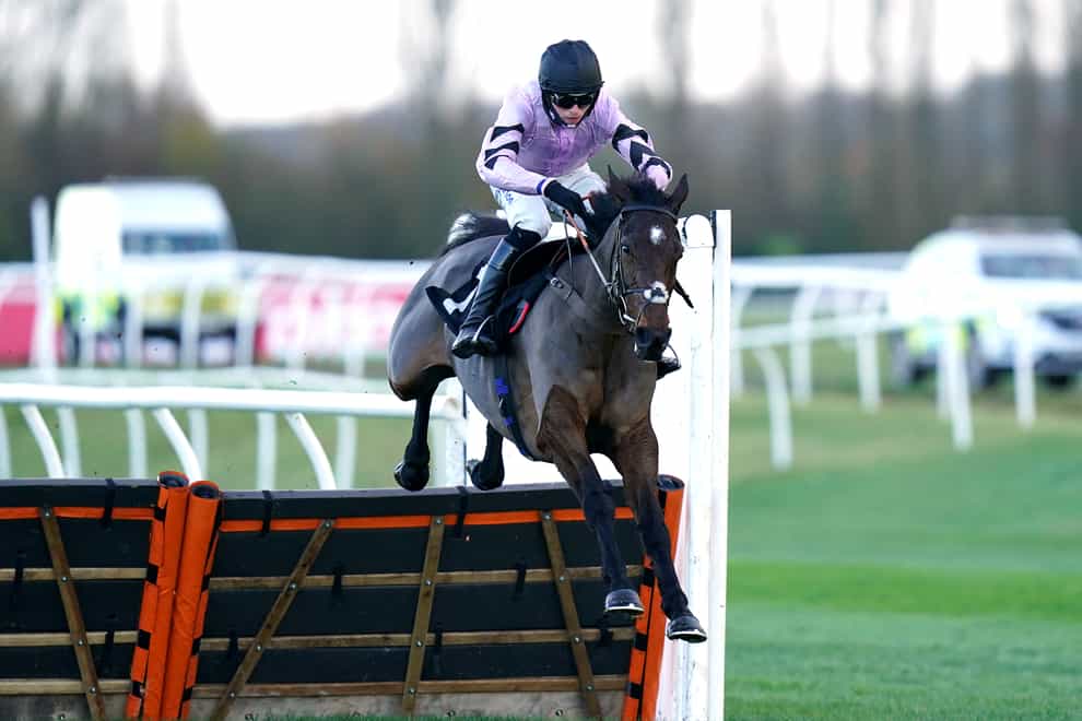 Stage Star ridden by jockey Harry Cobden on their way to winning the Watch Racing Free Online At Ladbrokes Novices’ Hurdle at Newbury Racecourse (Adam Davy/PA)