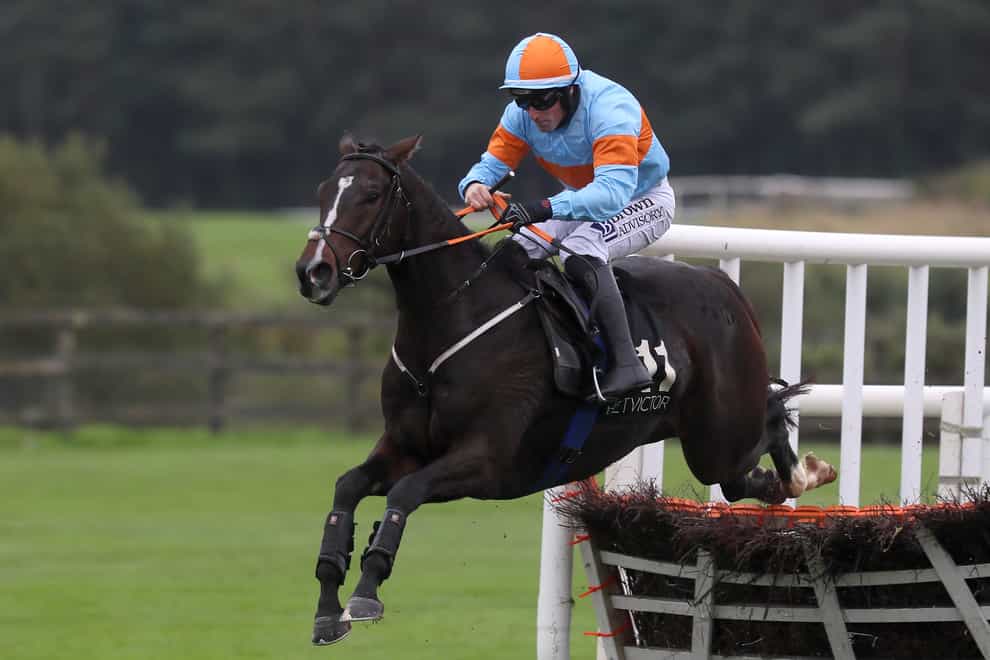 My Mate Mozzie winning at Punchestown (Brian Lawless/PA)