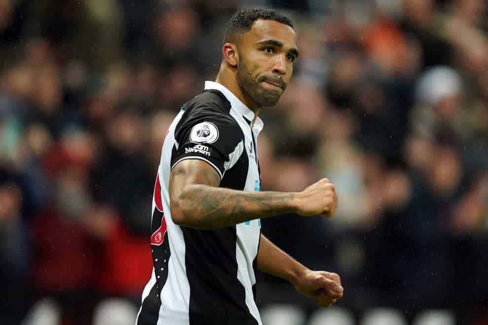 Newcastle striker Callum Wilson has ordered his team-mates not to feel sorry for themselves (Mike Egerton/PA)