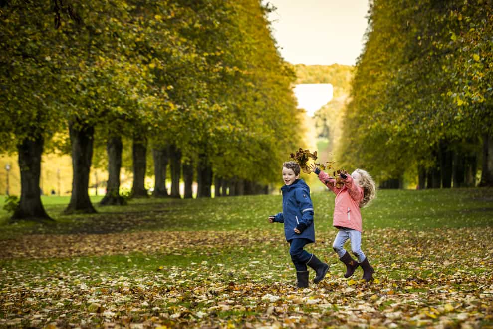 Ada McAree, five, her brother Luke, eight, play in the autumn leaves in the grounds of the Stormont Estate in Belfast (Liam McBurney/PA)