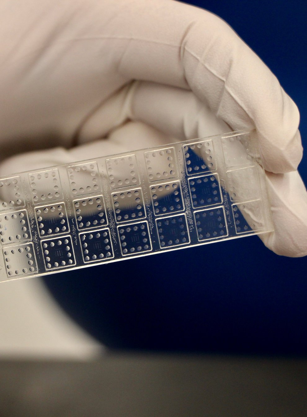 Rapid test ‘identifies antibody effectiveness against Covid variants’ (Duke University/PA)