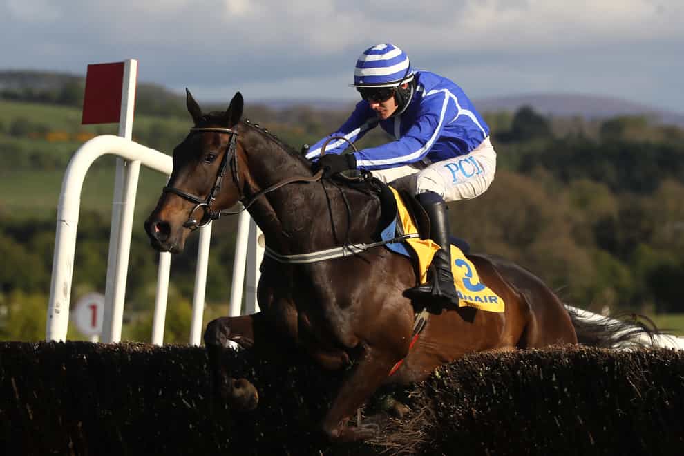 Energumene in action at Punchestown (Brian Lawless/PA)
