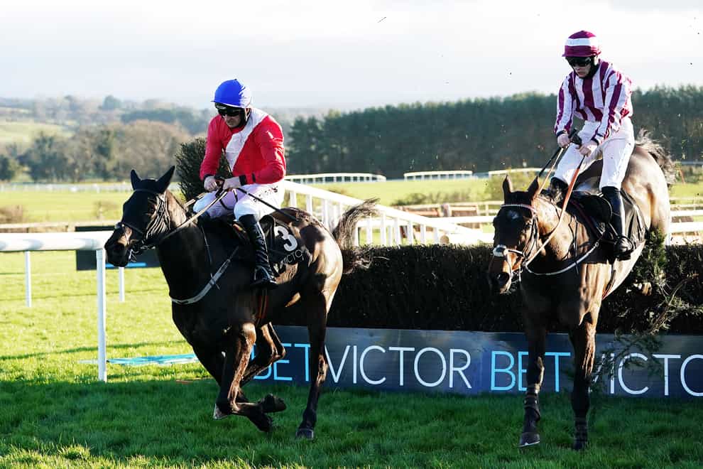 Ferny Hollow (left) on his way to victory at Punchestown (Brian Lawless/PA)