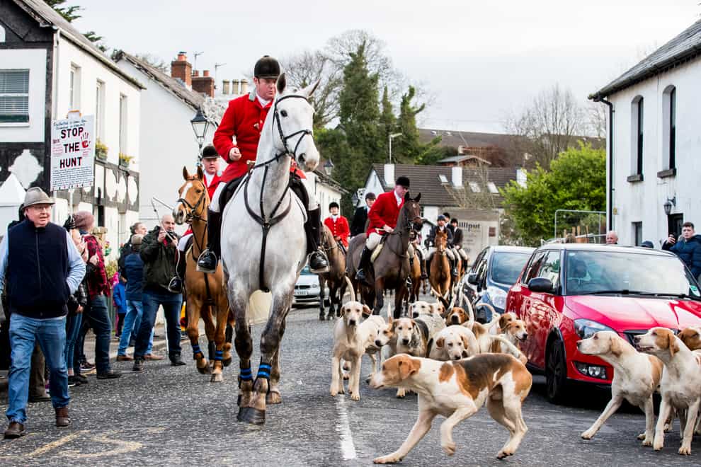 The Huntsman Master leads the hounds and riders through Main Street Crawfordsburn (PA)