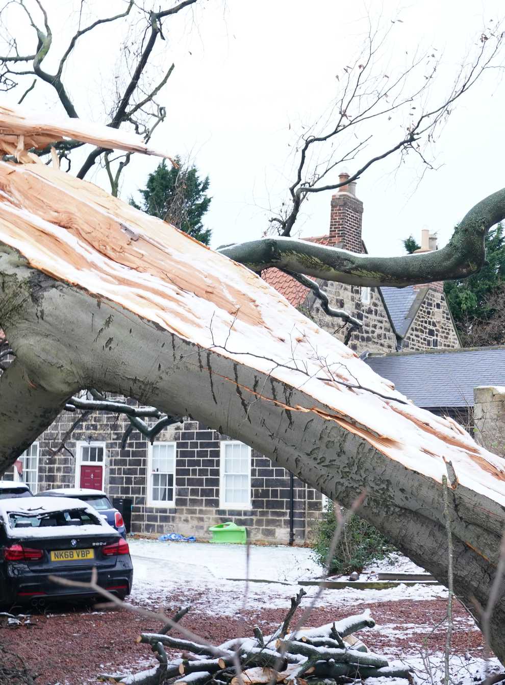The Met Office said more trees had fallen during Storm because of the wind direction (Owen Humphreys/PA)
