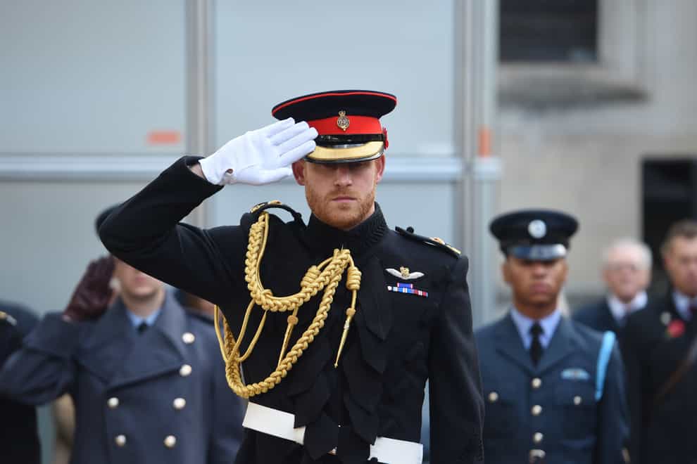 The Duke of Sussex (Jeremy Selwyn/Standard/PA)